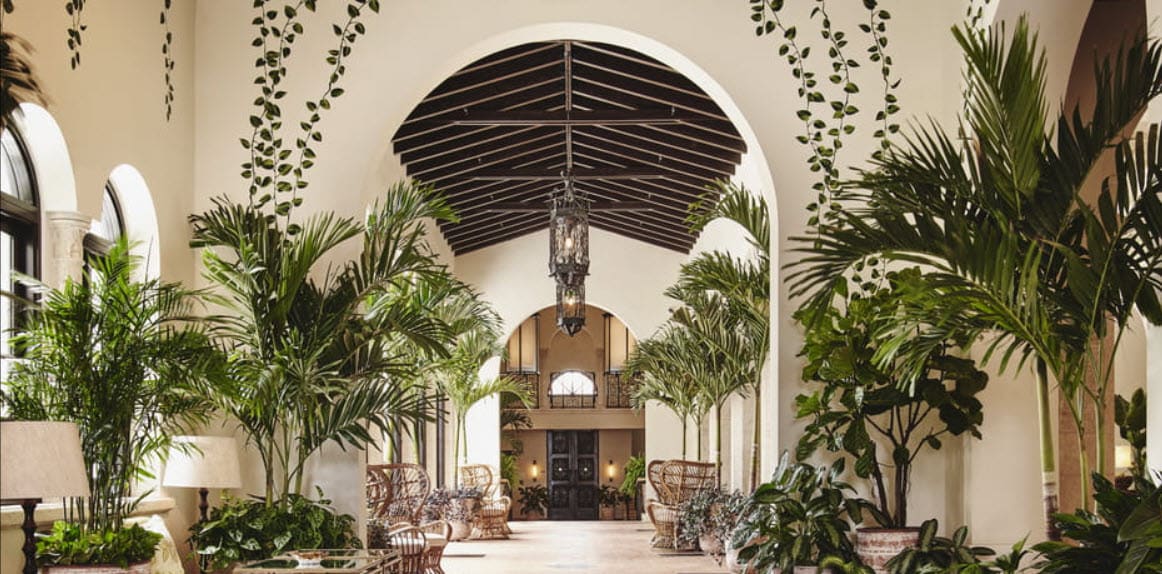 surf club's peacock alley in 2020