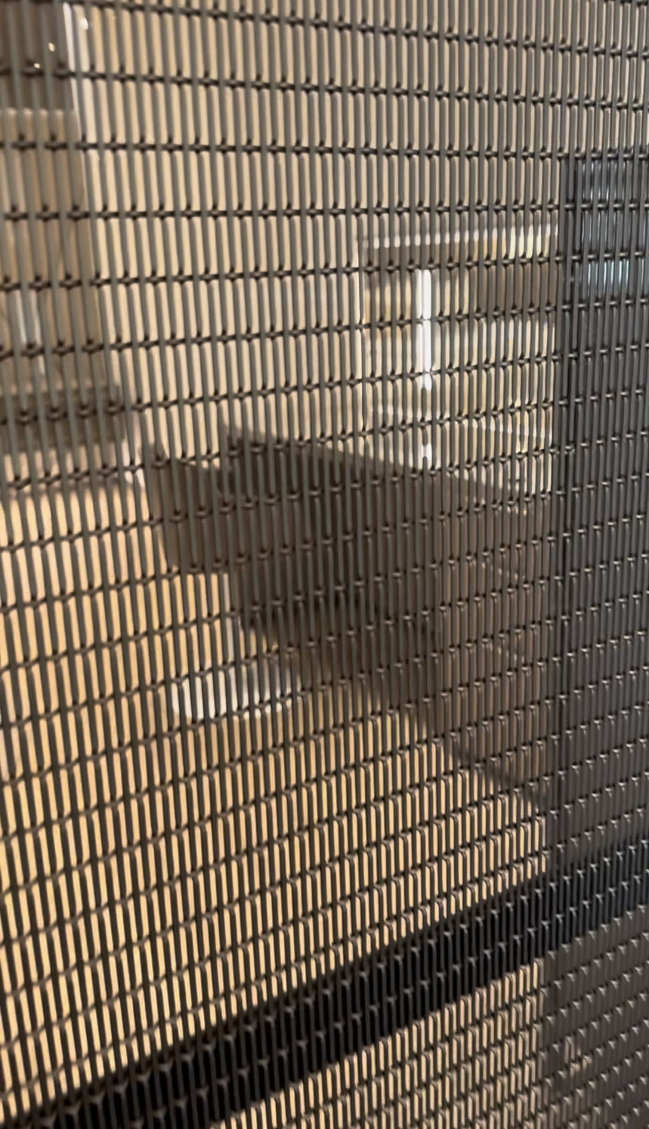 embedded patterned mesh glass cabinet fronts