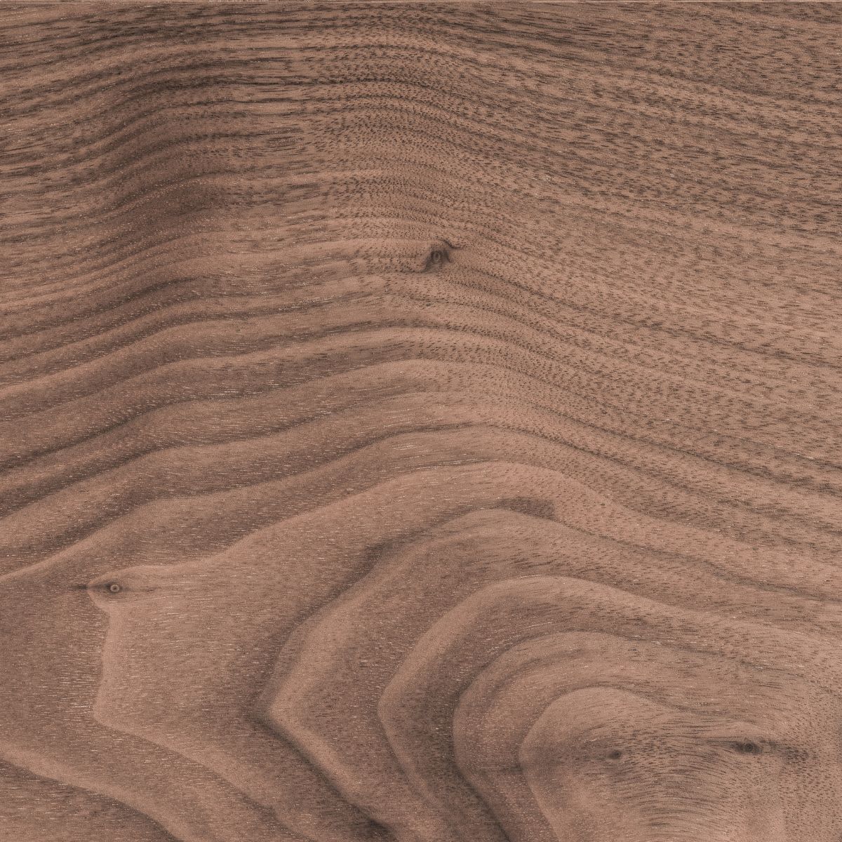 eggersmann smoked wood veneer