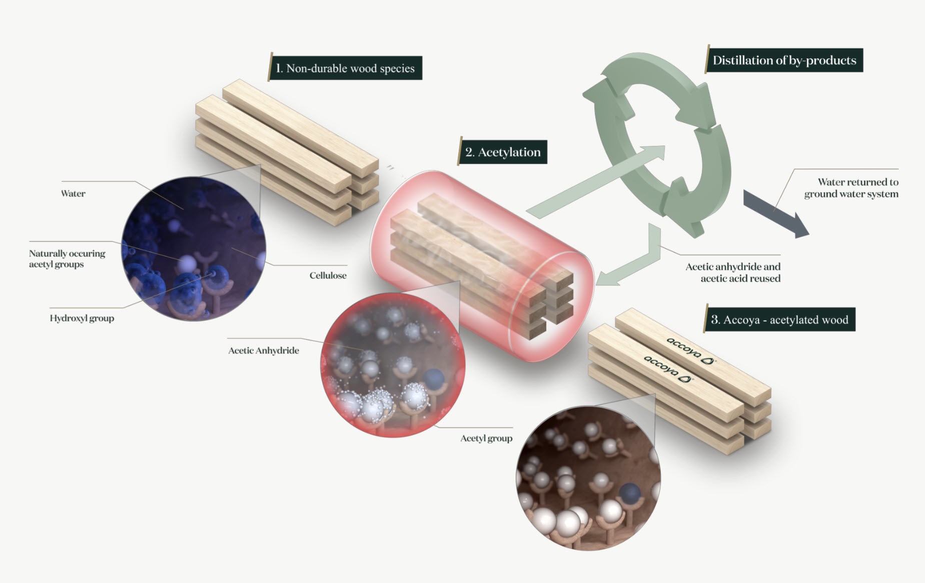 accoya acetylation process