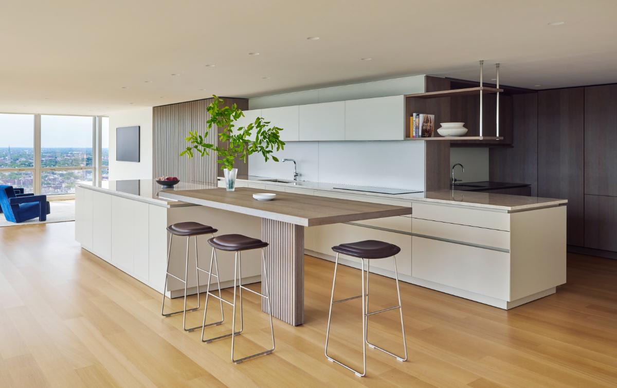 Modernist Kitchen in Chicago