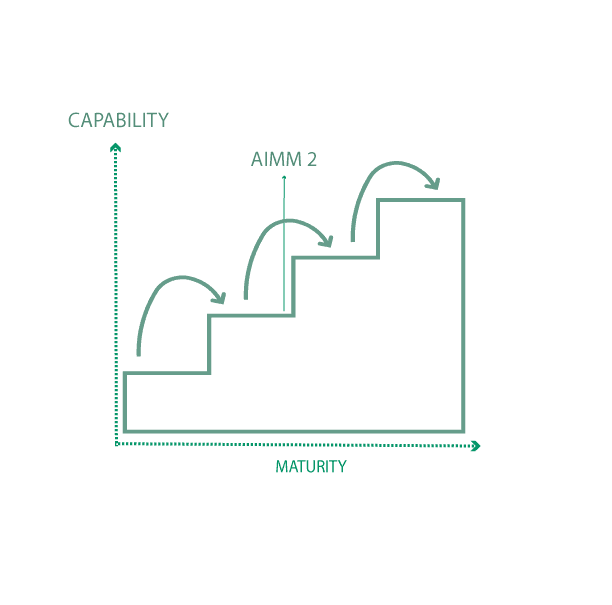 AI Maturity Model (AIMM)