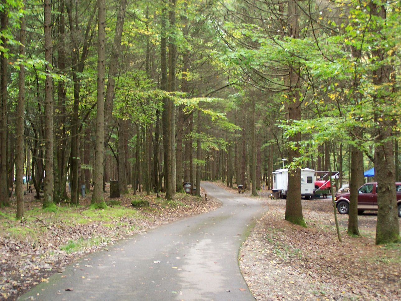 campground thumb image