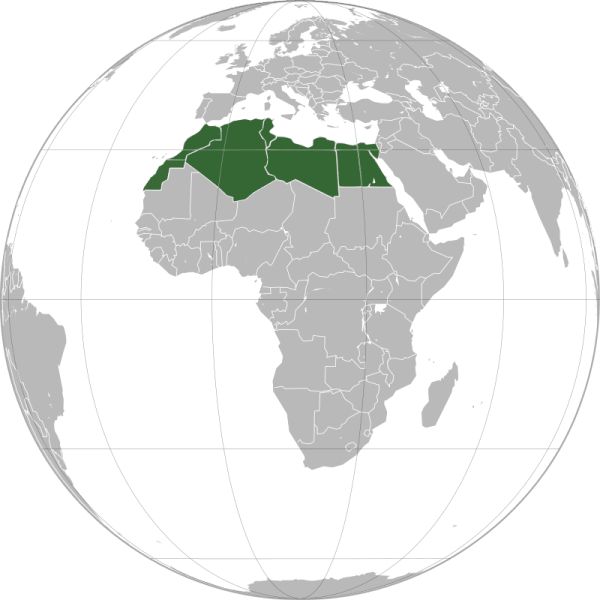 أفريقيا في فجر العصر الحديث: ملحمة مملكة الزولو، خلافة صكتو، وصمود إثيوبيا الأسطوري