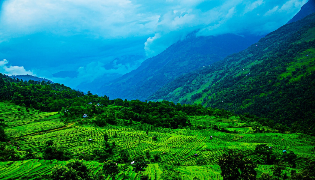 Arun Valley
