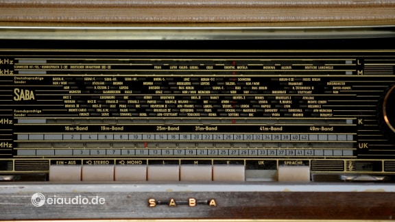Saba Wildbad 100
