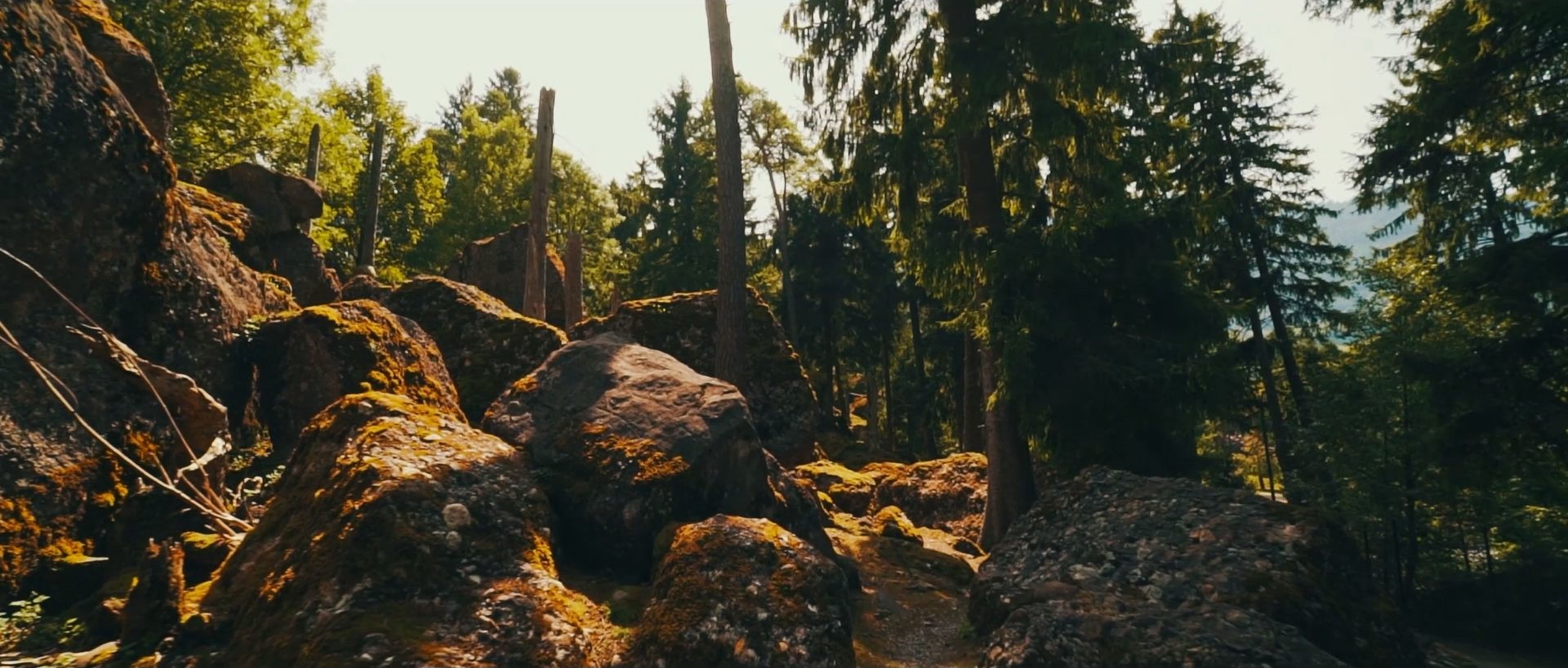 Schönes Stimmungsbild im Tierpark Goldau