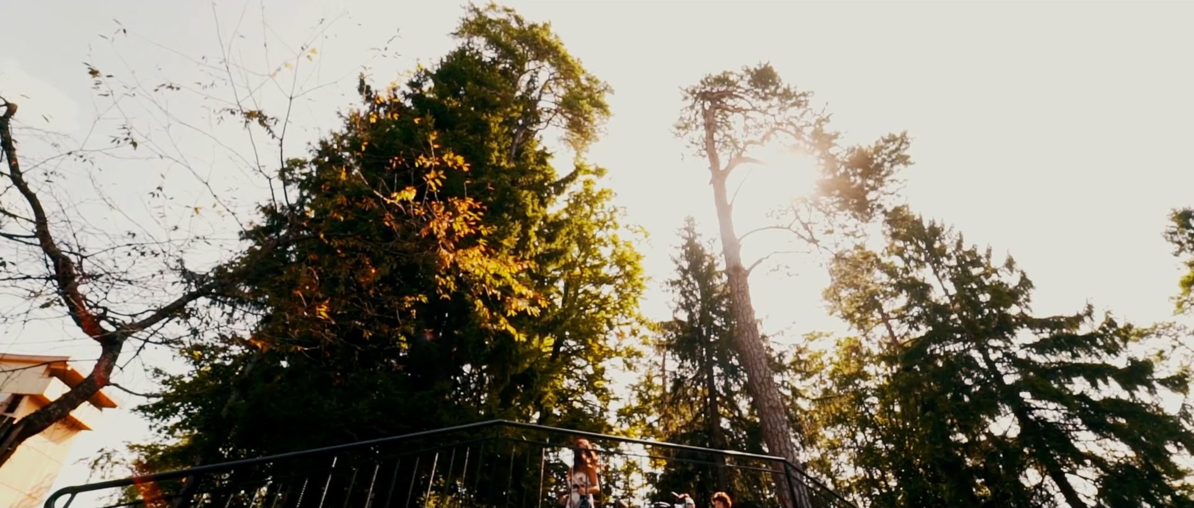 Schönes Stimmungsbild im Tierpark Goldau