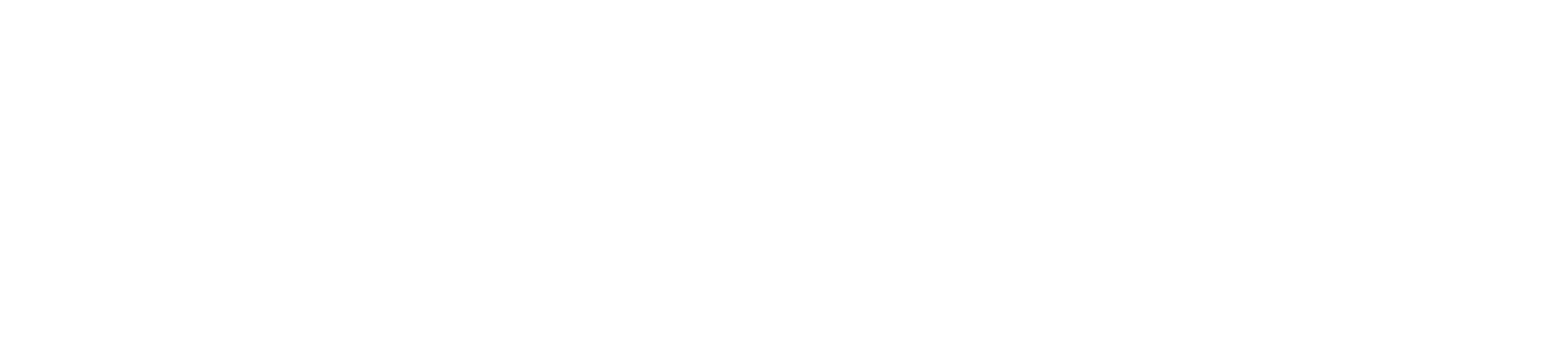 DE NADER logo