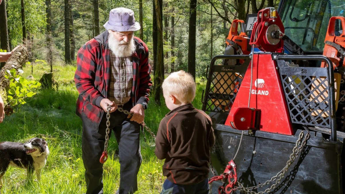 Fokus på: Skogsarbeid