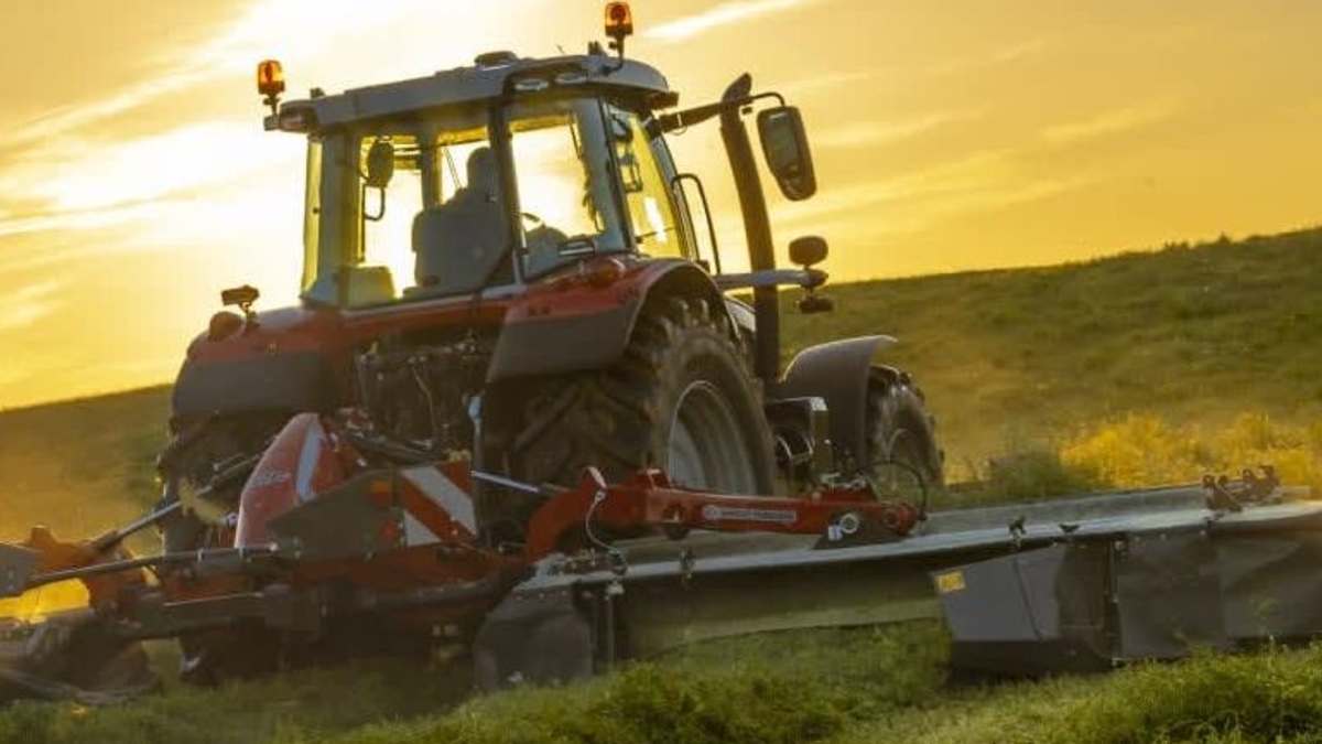 Fokus på: Slåttonn