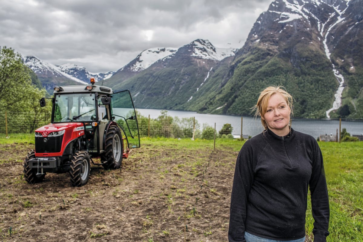 Vindyrking i Norge med MF 3640