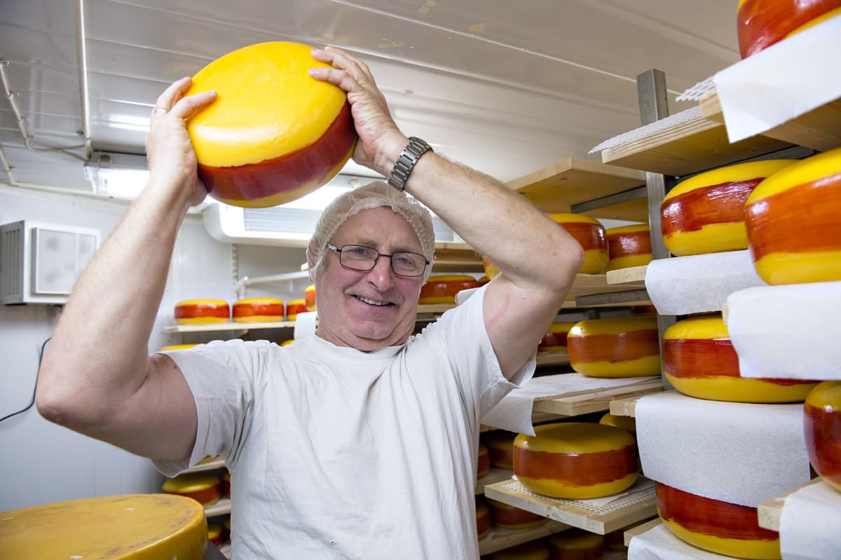Gullet kom hem