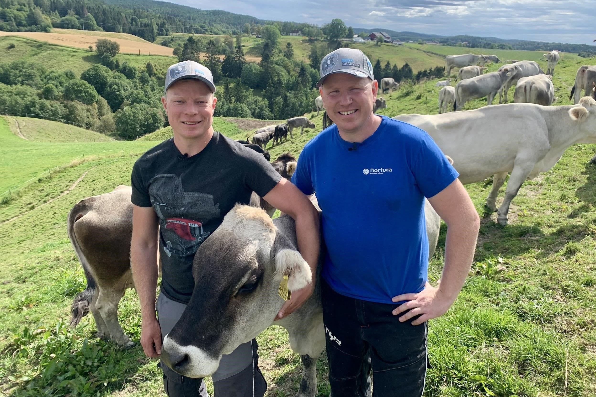 Graskvalitet påvirker metangassutslipp fra kuer