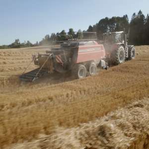 Massey Ferguson 2224 - høy kapasitet og jevne firkantballer