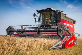 Massey Ferguson Activa skurtresker