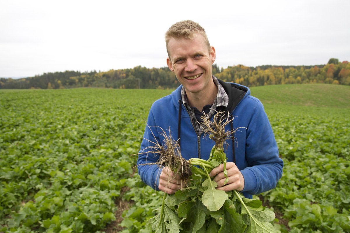 Lovende resultater med grubbesåing