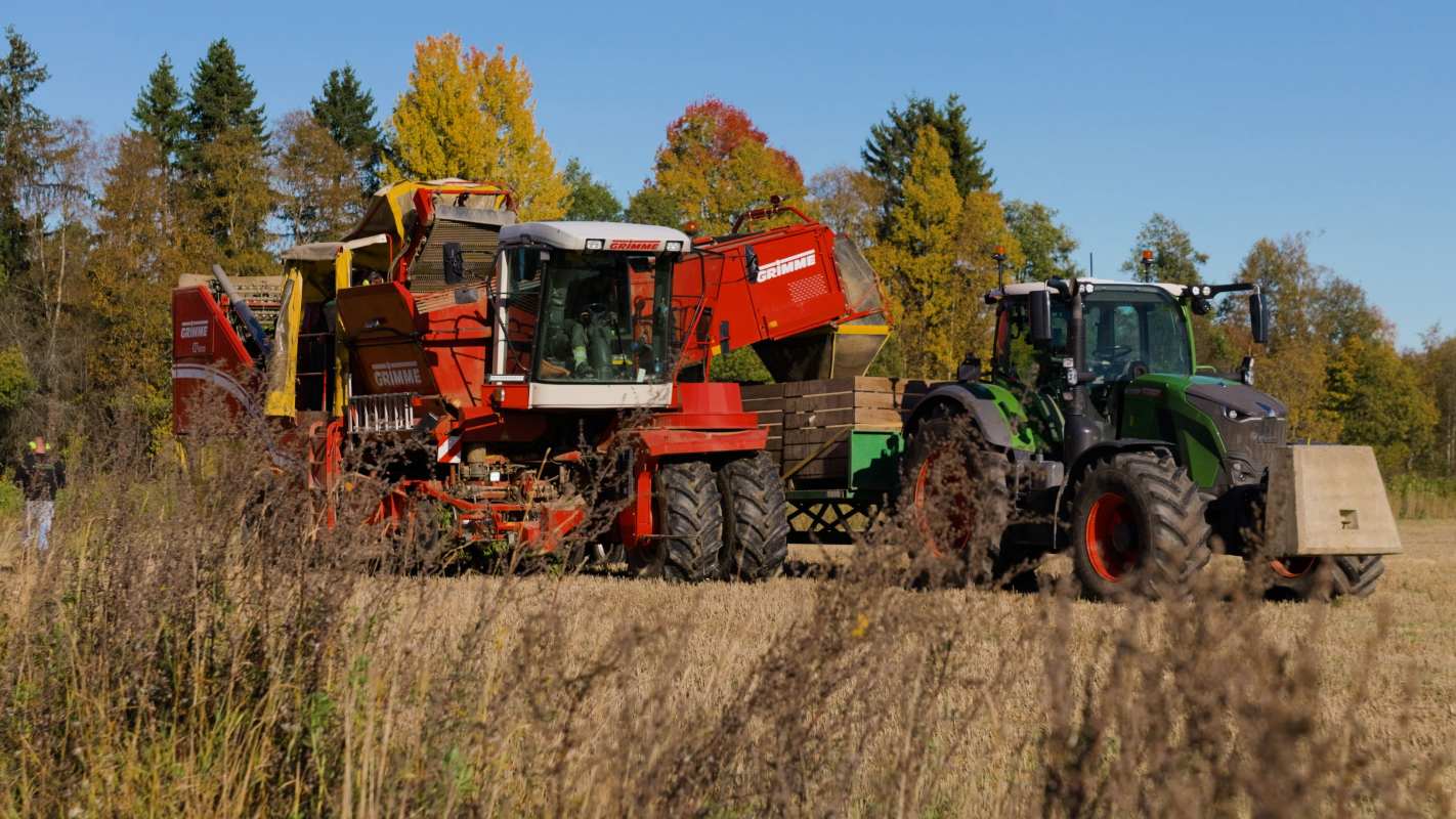 Grimme og Fendt i samspill under potetopptaket på Tømte gård