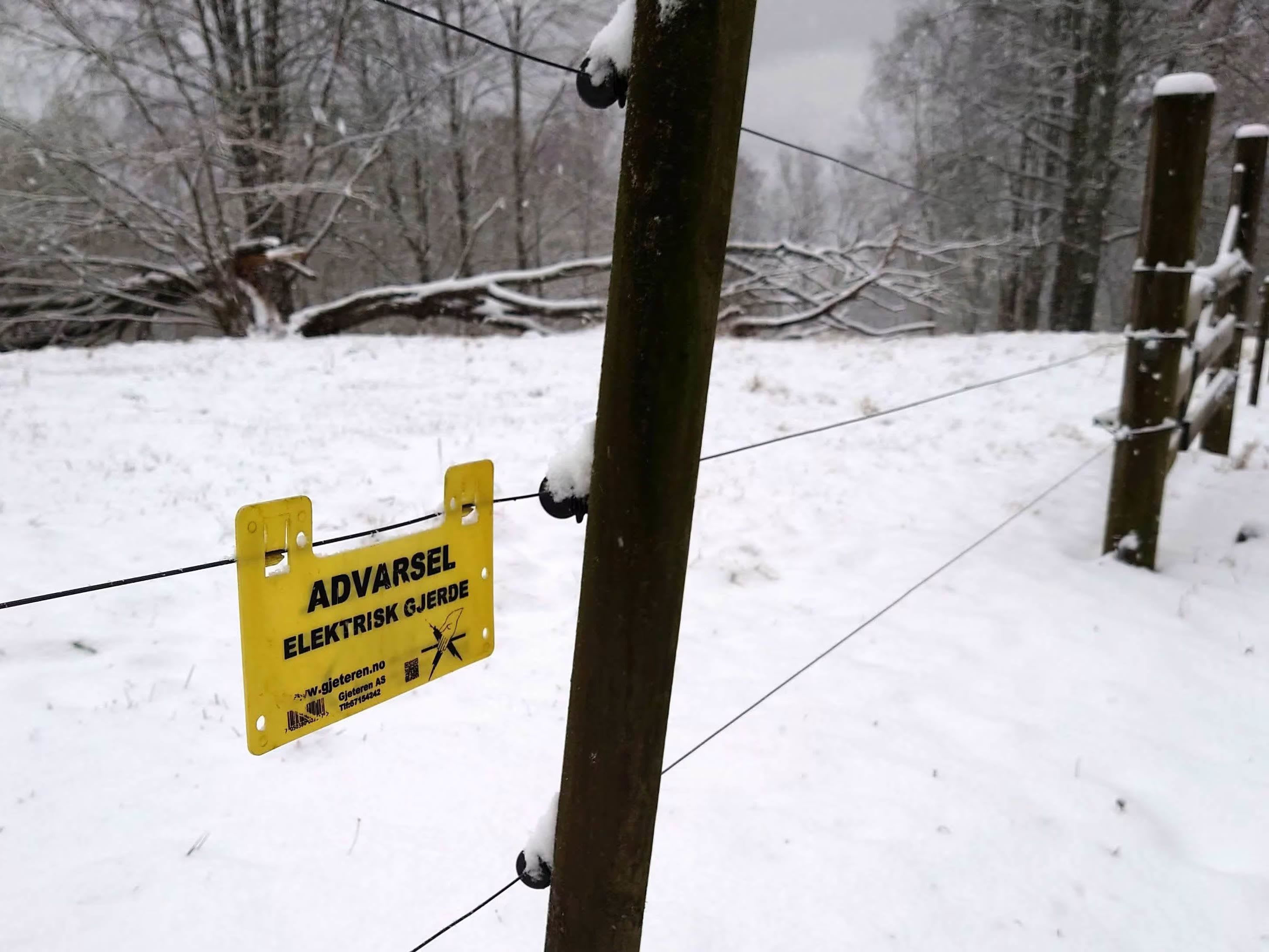Tips: Slik sjekker du strømgjerdet etter vinteren