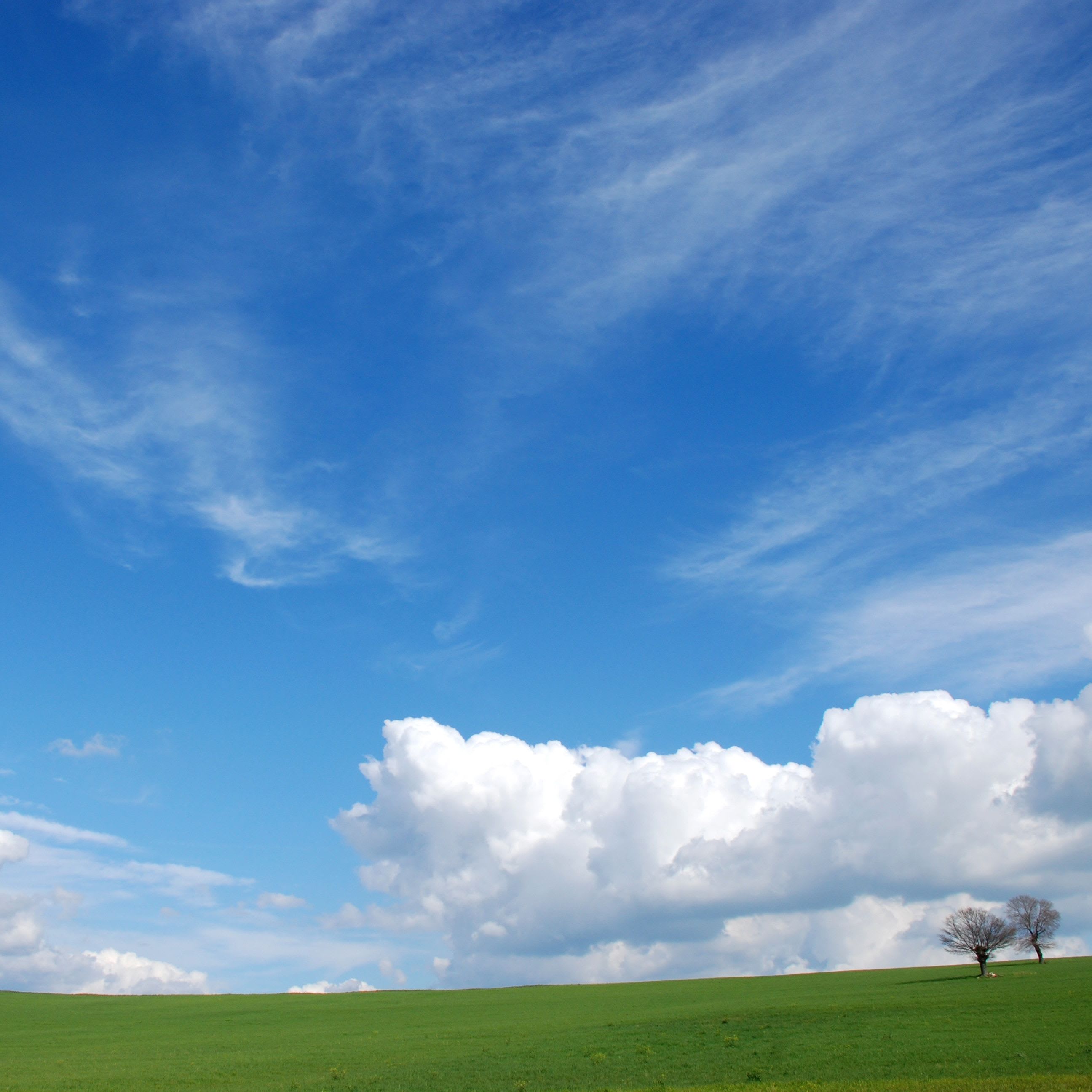 Eiksetneret vårdager 2026