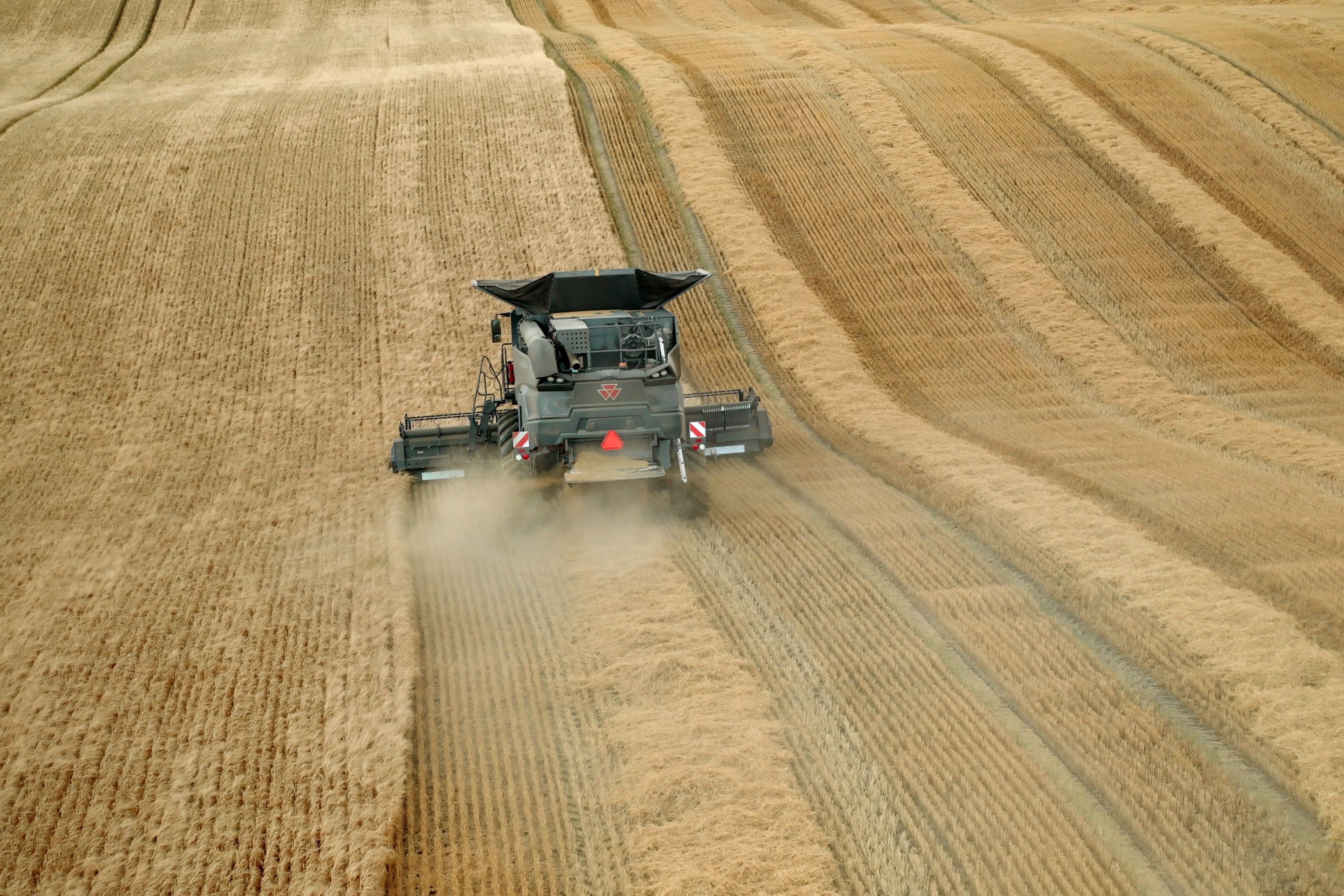 Massey Ferguson IDEAL 7 – kapasitet, teknologi og skånsom tresking