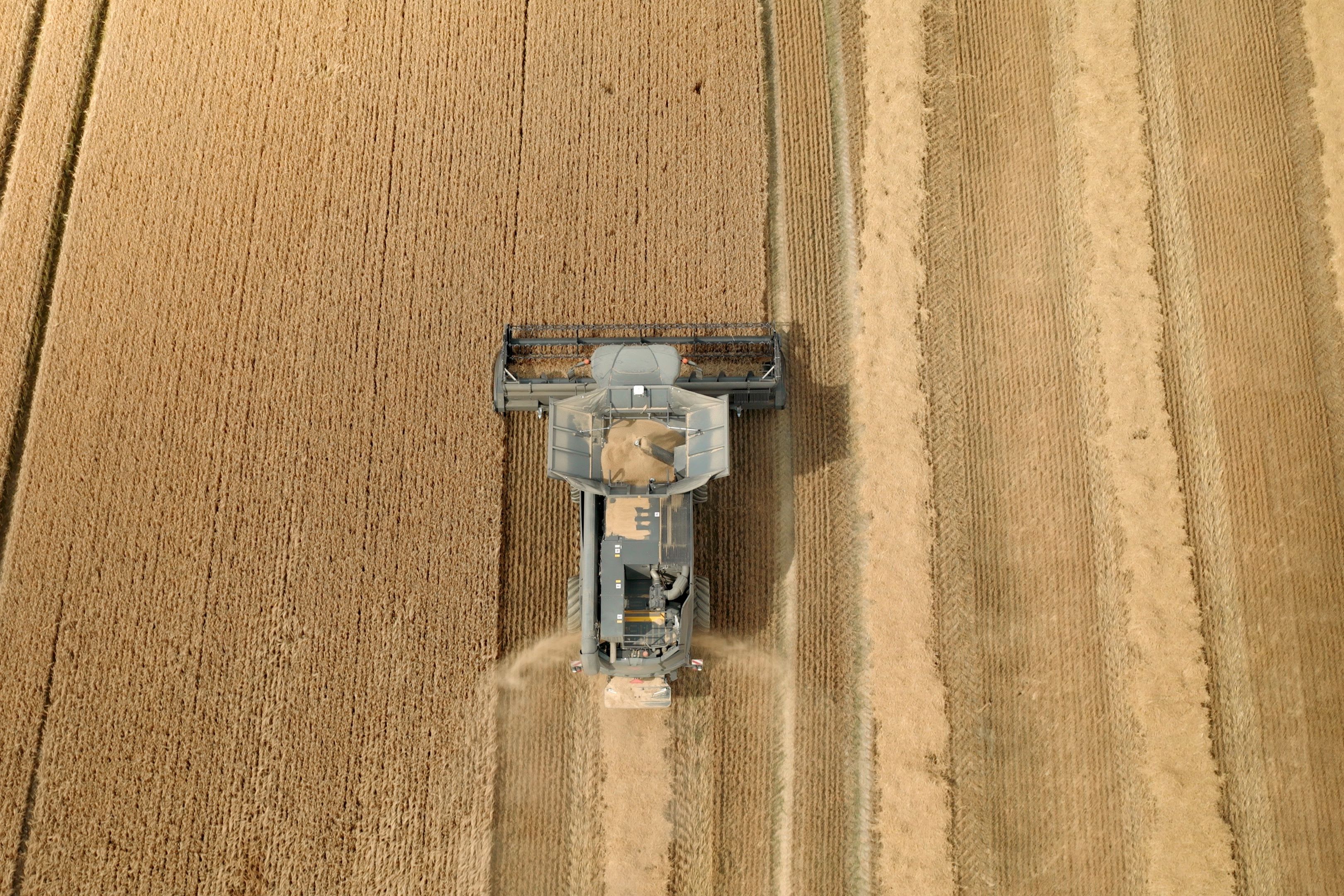Massey Ferguson IDEAL 7 – kapasitet, teknologi og skånsom tresking
