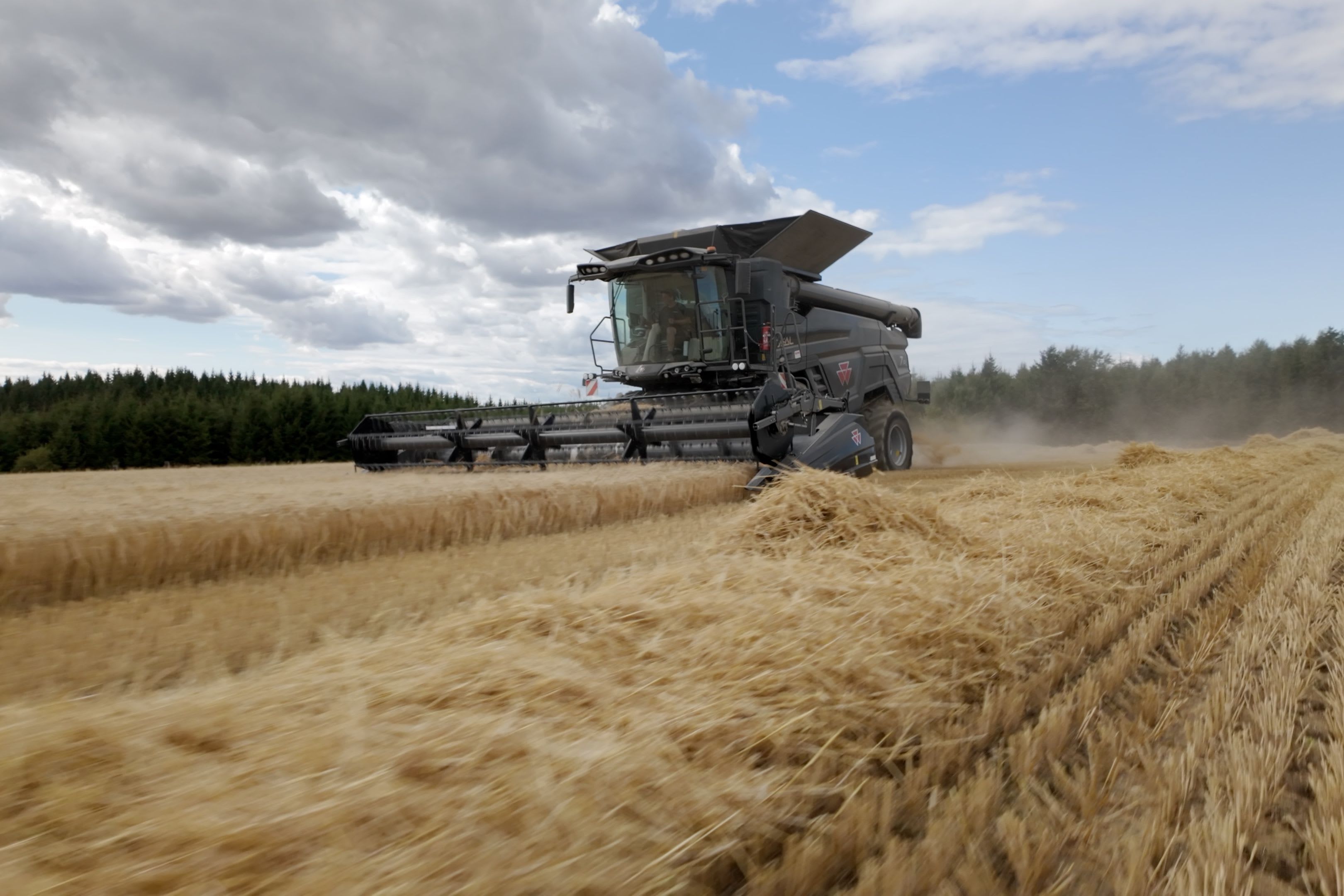 Massey Ferguson IDEAL 7 – kapasitet, teknologi og skånsom tresking