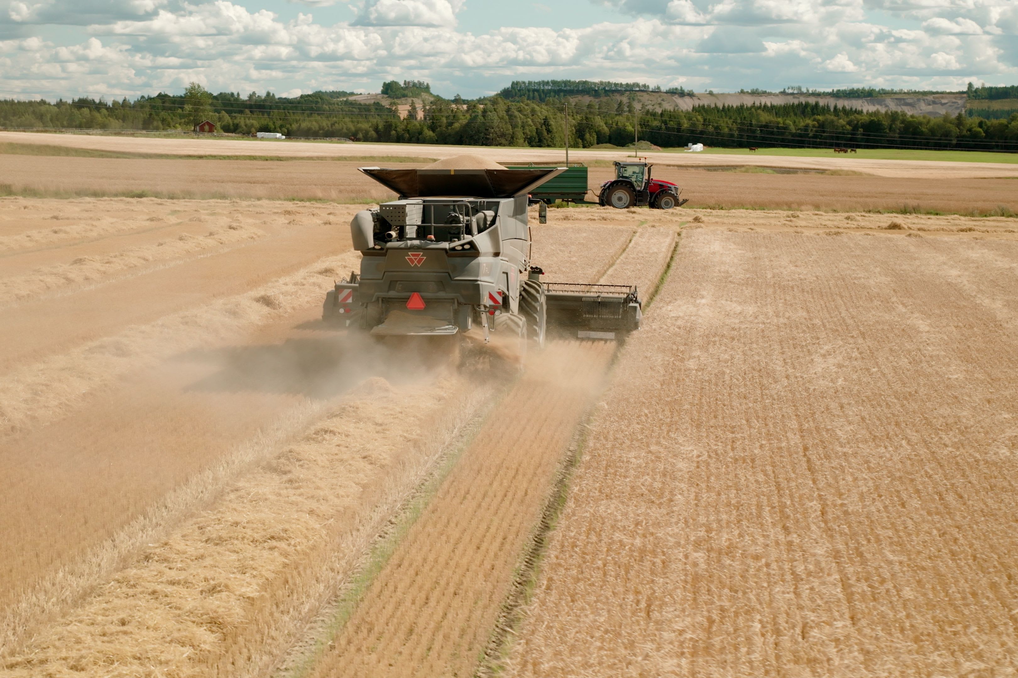 Massey Ferguson IDEAL 7 – kapasitet, teknologi og skånsom tresking