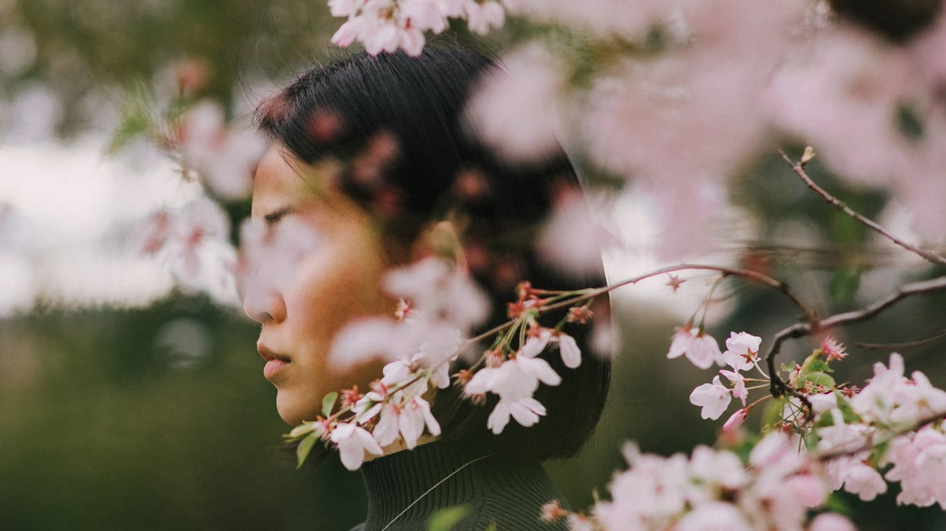 Japanerin hinter Kirschbaum Japanerin hinter Kirschbaum