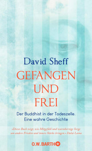 Gefangen und frei - David Sheff