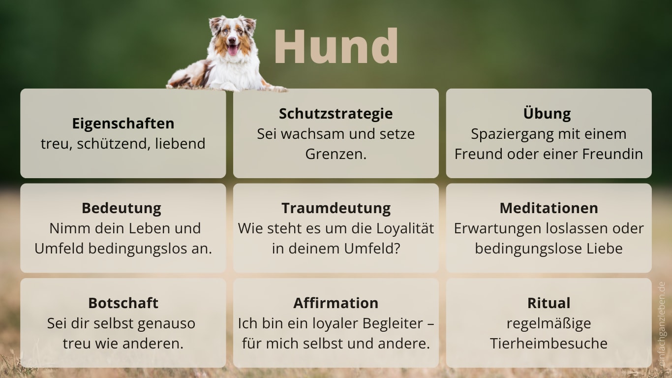 Krafttier Hund: Bedeutung, Botschaft und Schutzstrategie Steckbrief des Krafttiers Hund