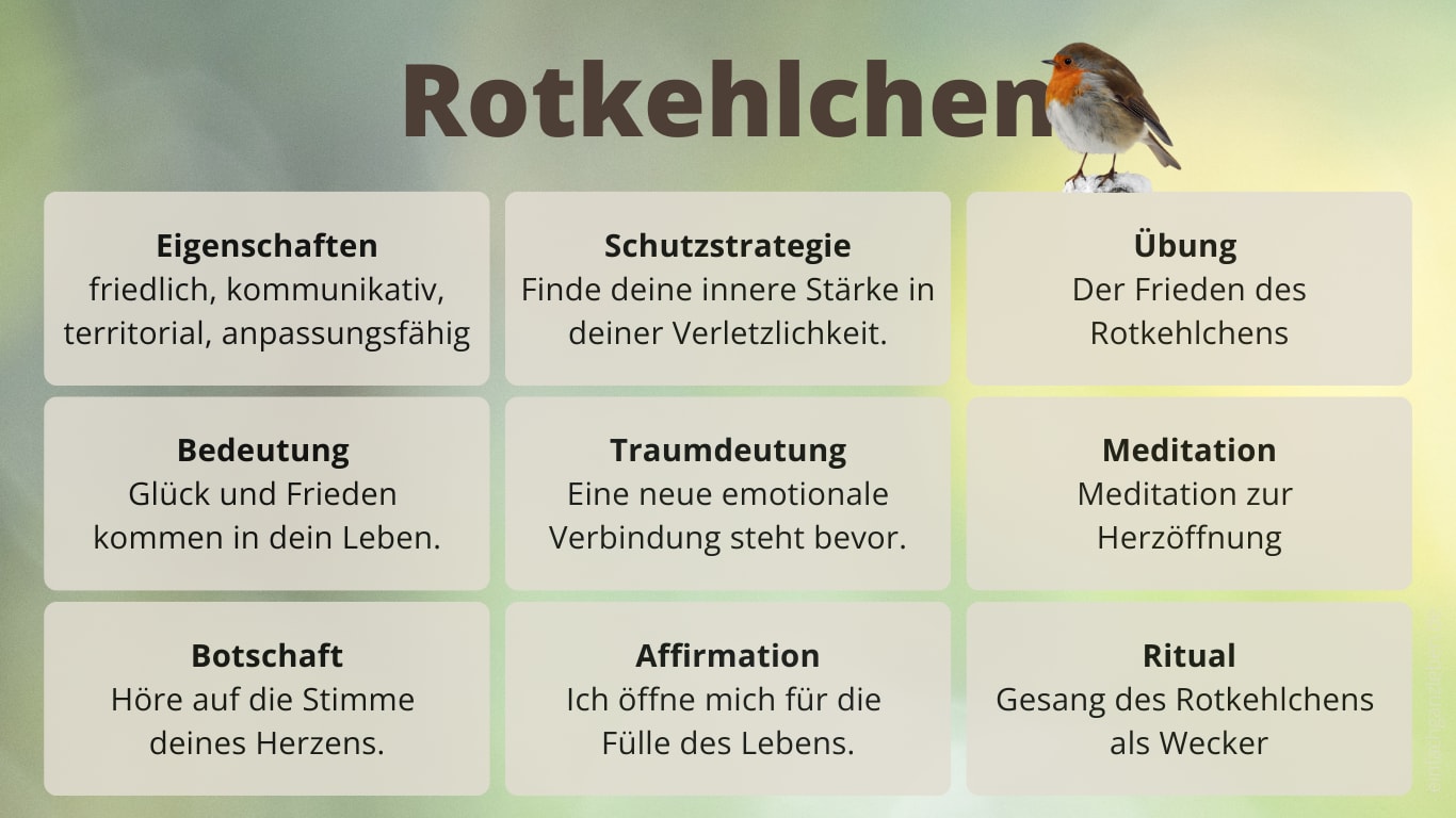 Krafttier Rotkehlchen: Steckbrief Steckbrief zum Krafttier Rotkehlchen mit Eigenschaften, Bedeutungen und Impulsen
