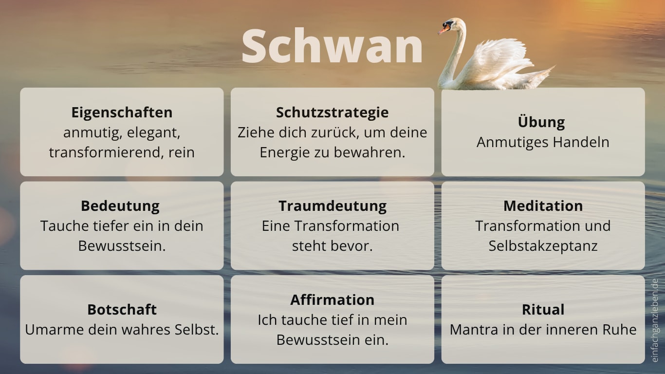 Krafttier Schwan Steckbrief Krafttier Schwan: Steckbrief der Eigenschaften und Bedeutung