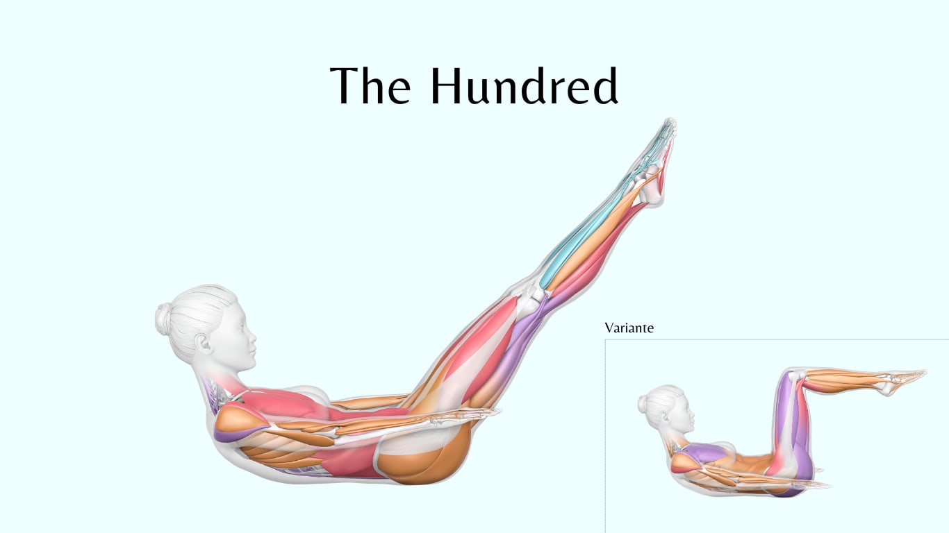 Pilates-Übung: The Hundred Illustration der Pilates-Übung „The Hundred" , inklusive einer vereinfachten Variante mit angewinkelten Beinen.