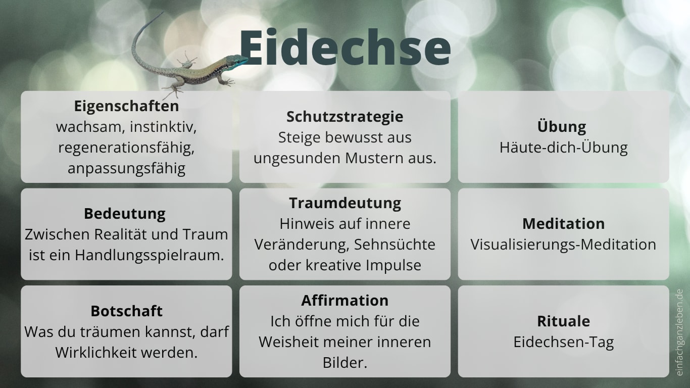 Steckbrief: Krafttier Eidechse Steckbrief mit Eigenschaften des Krafttiers Eidechse