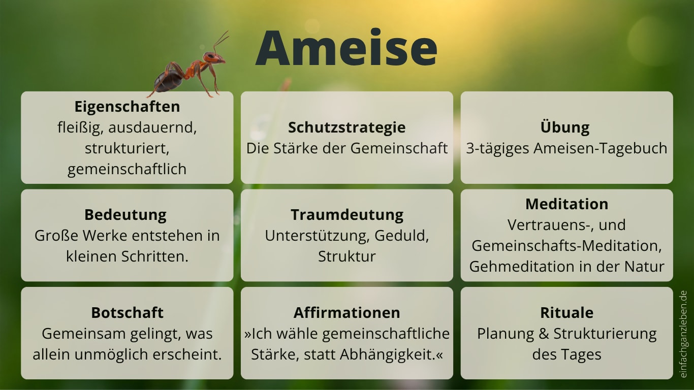 Steckbrief des Krafttiers Ameise