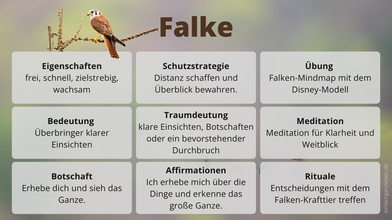 Steckbrief: Krafttier Falke