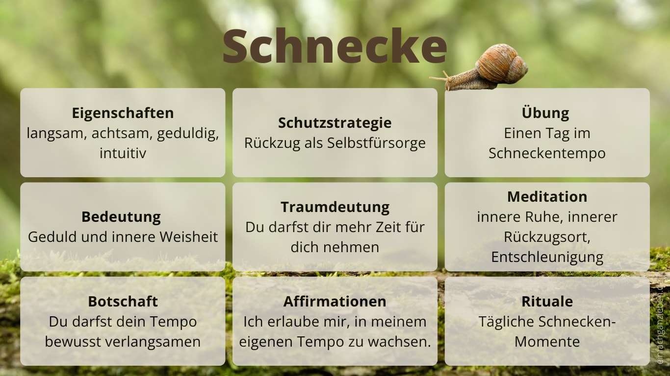 Steckbrief des Krafttiers Schnecke