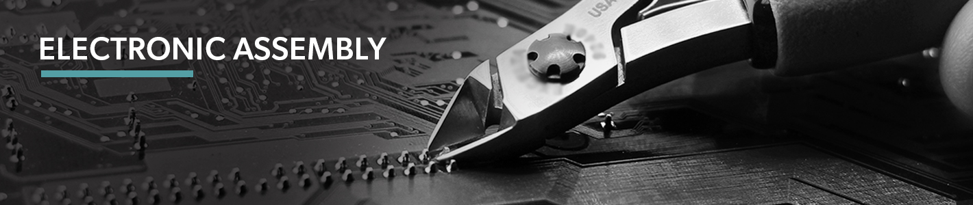 Electronic Assembly