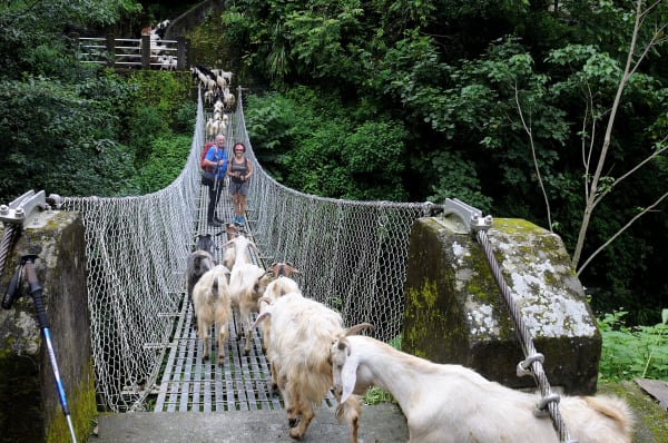 Trekking in Nepal During Dashain: What Actually Changes