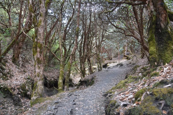 Knee Pain, Blisters and Painkillers on a Nepal Trek