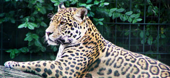 Lo Zoo di Berlino