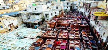 Fez