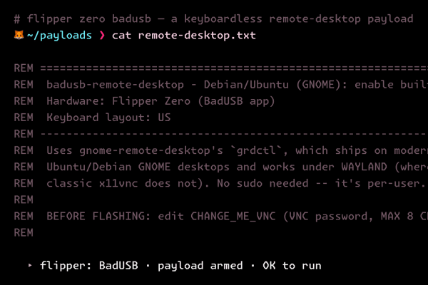 BadUSB Remote Desktop screenshot