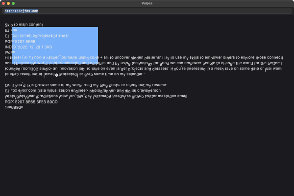 Vulpes Browser screenshot 1