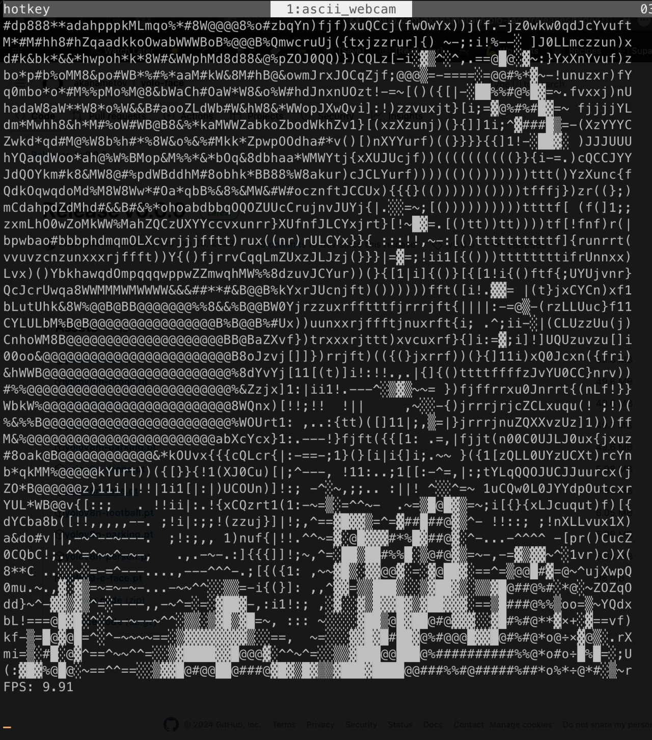 ascii_webcam turning a live scene into terminal ASCII