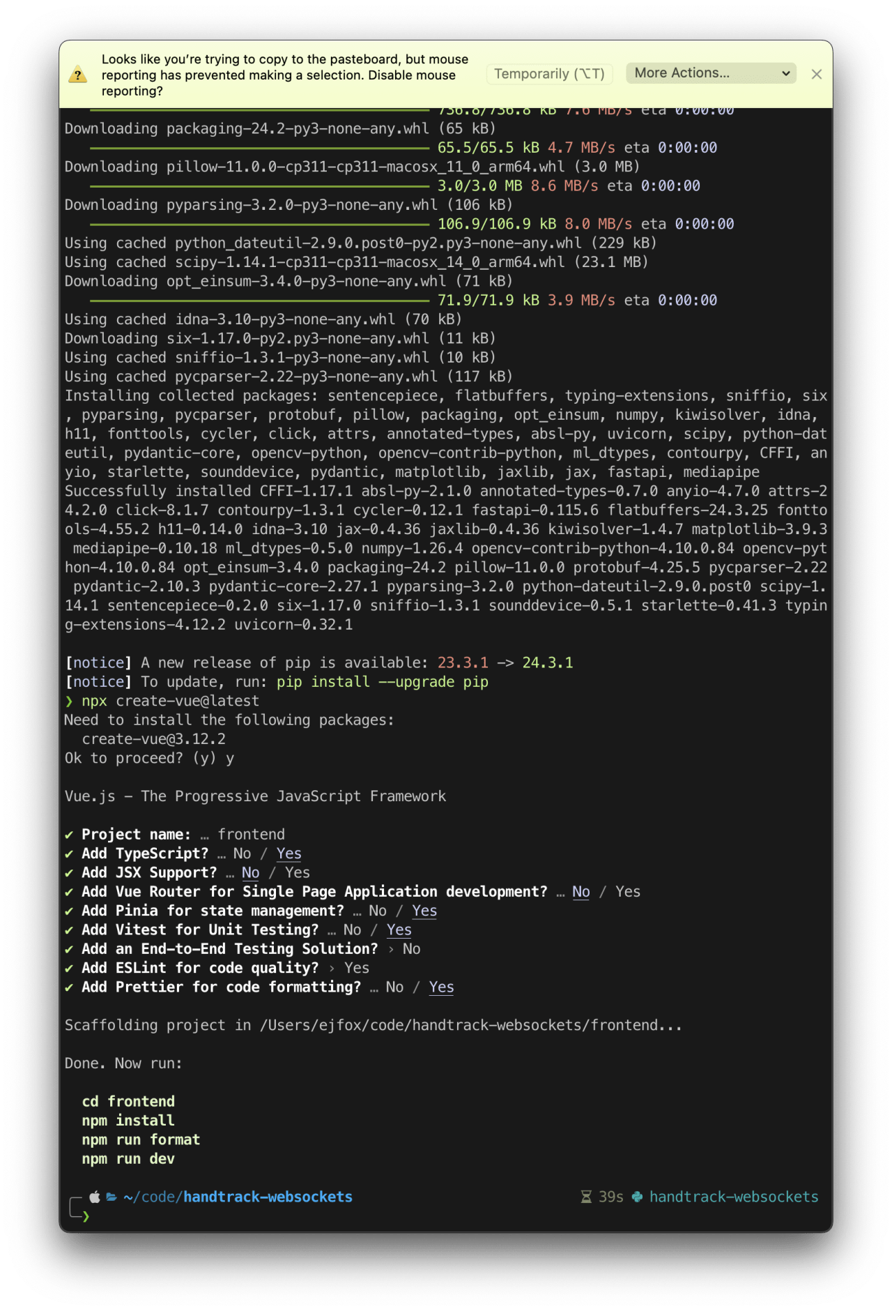 Terminal output showing Vue.js project creation with npm package installation completing and next steps to run the development server.