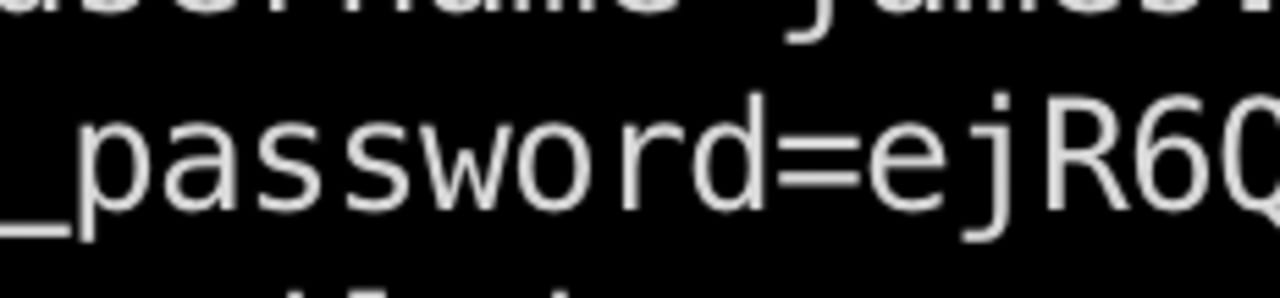 Command line parameter showing password equals ejR60