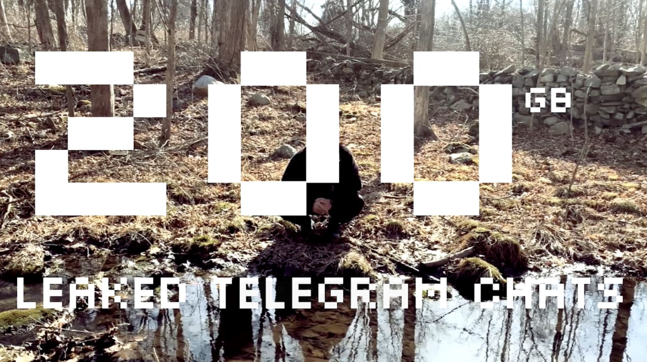 Black dog emerging from hollow log in wooded area with water reflection, overlaid with "LEAKED TBLEGRAPH5 CKMT8" text and pixelated graphics