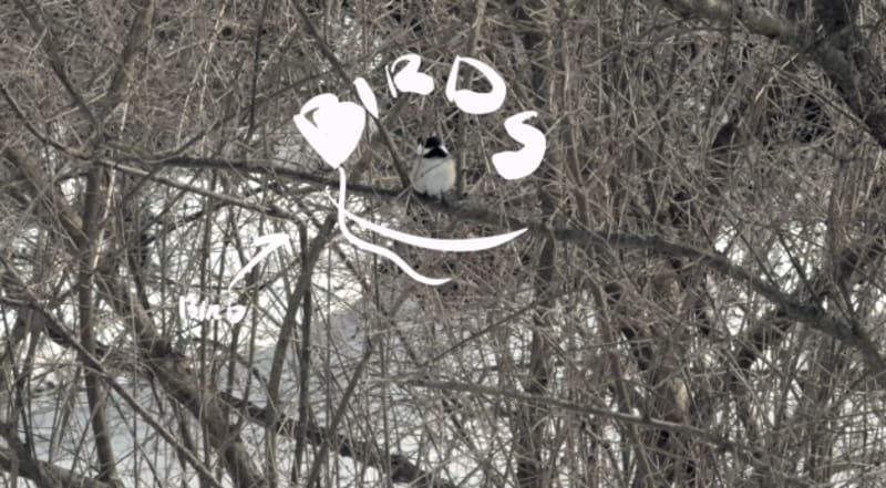 Screenshot - 2025-03-03 16:40:00 - Screenshot 2025-03-03 at 4.39.45 PM.png